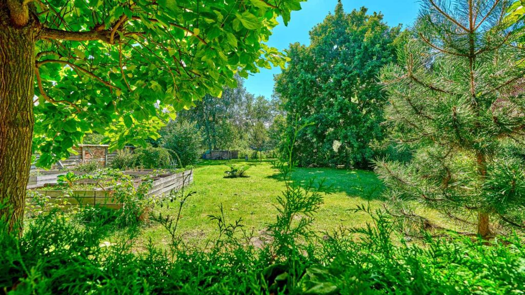 Grundstück in Zingst – Südlich ausgerichtet