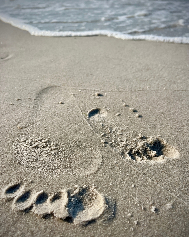 Fußabdrücke im Sand Zingst