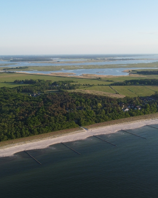 Grehn Immobilien Fischland Darß Zingst